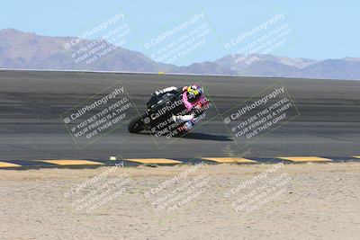 media/Mar-10-2024-SoCal Trackdays (Sun) [[6228d7c590]]/2-Bowl (10am)/